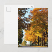 Herfstkleuren op Landweg Briefkaart (Voorkant / Achterkant)