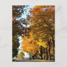Herfstkleuren op Landweg