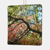 Herfstkleuren Ornament (Links)