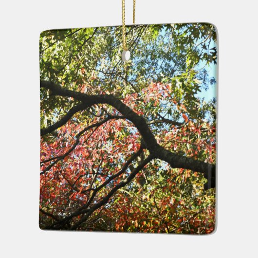 Herfstkleuren Ornament (Links)