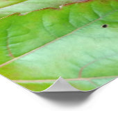 herfstkleuren poster (Hoek)