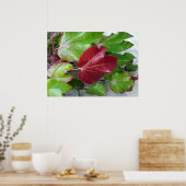 herfstkleuren poster (Keuken)