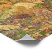 Herfstkleuren van bossen in The Cascade 2 Poster (Hoek)