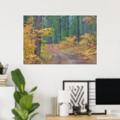 Herfstkleuren van bossen in The Cascade 2 Poster (Thuiskantoor)