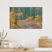 Herfstkleuren van bossen in The Cascade 2 Poster (Keuken)