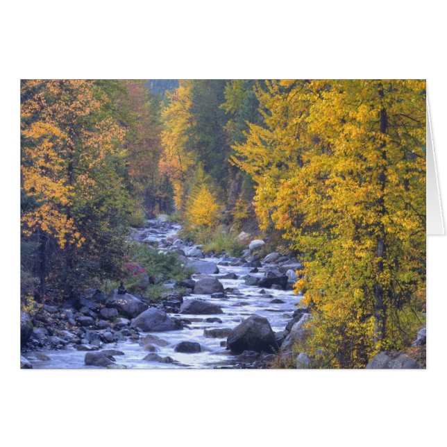 Herfstkleuren van bossen in The Cascade 6 (Voorkant Horizontaal)