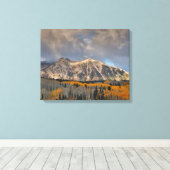 Herfstkleuren van Espen, Keebler Pass Canvas Afdruk (Insitu (Houten vloer))