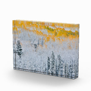 Herfstkleuren van Espen Rocky Mountains, Colorad Fotoblokken