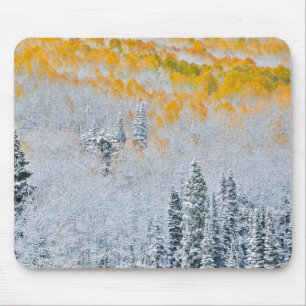Herfstkleuren van Espen Rocky Mountains, Colorad Muismat