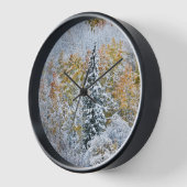 Herfstkleuren van Espen & Sneeuw Keebler Pass (Hoek)
