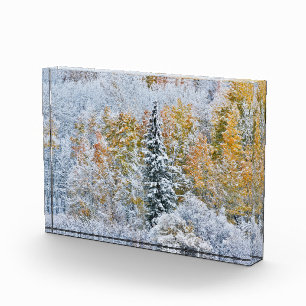 Herfstkleuren van Espen & Sneeuw Keebler Pass Fotoblokken