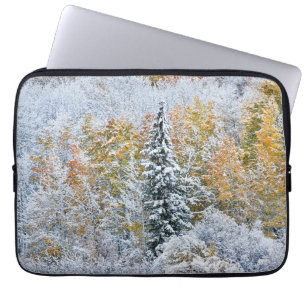 Herfstkleuren van Espen & Sneeuw Keebler Pass Laptop Sleeve