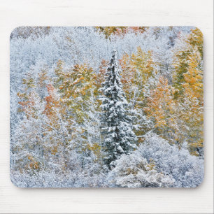 Herfstkleuren van Espen & Sneeuw Keebler Pass Muismat