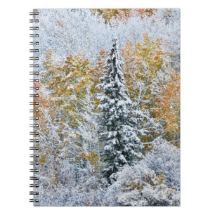 Herfstkleuren van Espen & Sneeuw Keebler Pass Notitieboek