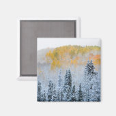 Herfstkleuren van Espen & Verse Sneeuw Keebler Pas Magneet (Voorkant / Achterkant)