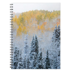 Herfstkleuren van Espen & Verse Sneeuw Keebler Pas Notitieboek