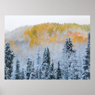 Herfstkleuren van Espen & Verse Sneeuw Keebler Pas Poster