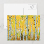 Herfstkleuren van Espenbomen 1 Briefkaart (Voorkant / Achterkant)