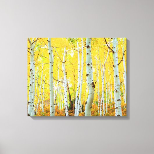 Herfstkleuren van Espenbomen 1 Canvas Afdruk (Voorkant)