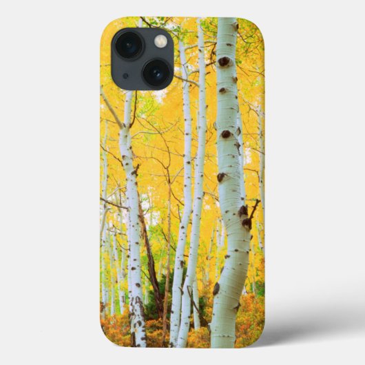 Herfstkleuren van Espenbomen 1 Case-Mate iPhone Case (Achterkant)