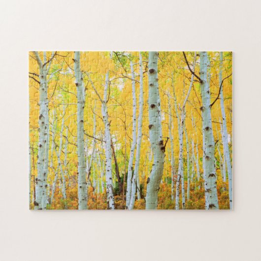 Herfstkleuren van Espenbomen 1 Legpuzzel (Horizontaal)