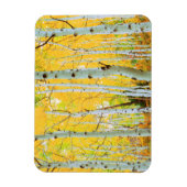 Herfstkleuren van Espenbomen 1 Magneet (Verticaal)
