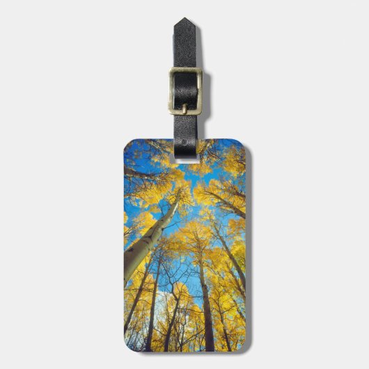 Herfstkleuren van Espenbomen 2 Bagagelabel (Voorkant verticaal)