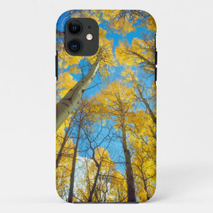 Herfstkleuren van Espenbomen 2 Case-Mate iPhone Case
