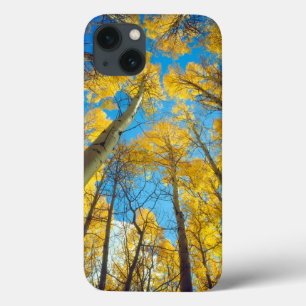 Herfstkleuren van Espenbomen 2 iPhone 13 Hoesje