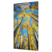Herfstkleuren van Espenbomen 2 Klembord (Links)