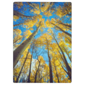 Herfstkleuren van Espenbomen 2 Klembord (Achterkant)