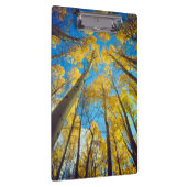 Herfstkleuren van Espenbomen 2 Klembord (Rechts)
