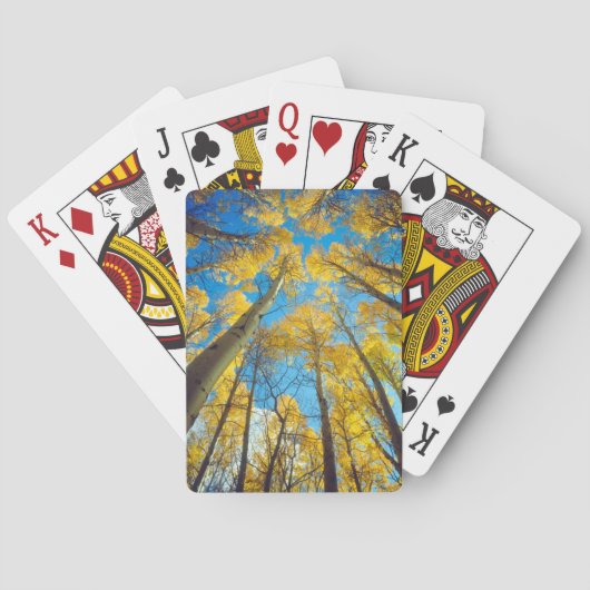 Herfstkleuren van Espenbomen 2 Pokerkaarten (Achterkant)