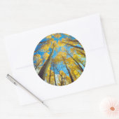 Herfstkleuren van Espenbomen 2 Ronde Sticker (Envelop)
