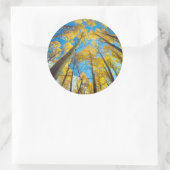 Herfstkleuren van Espenbomen 2 Ronde Sticker (Tas)