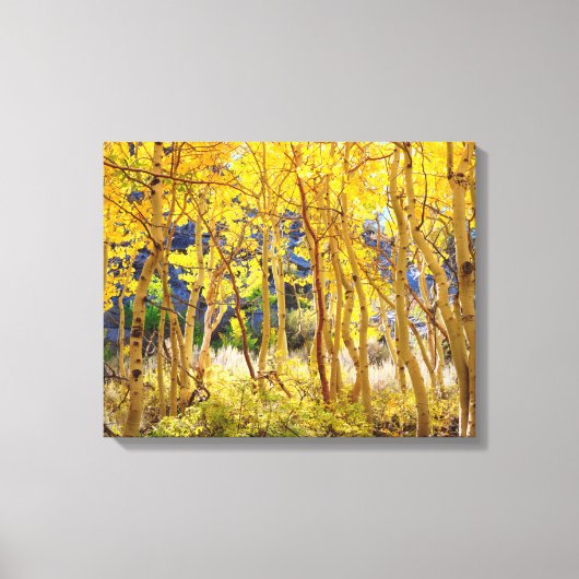Herfstkleuren van Espenbomen 3 Canvas Afdruk (Voorkant)