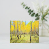 Herfstkleuren van Espenbomen 4 Briefkaart (Staand voorkant)