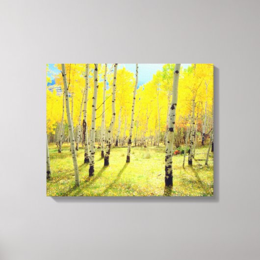 Herfstkleuren van Espenbomen 4 Canvas Afdruk (Voorkant)