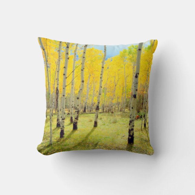 Herfstkleuren van Espenbomen 4 Kussen (Voorkant)