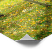 Herfstkleuren van Espenbomen 4 Poster (Hoek)