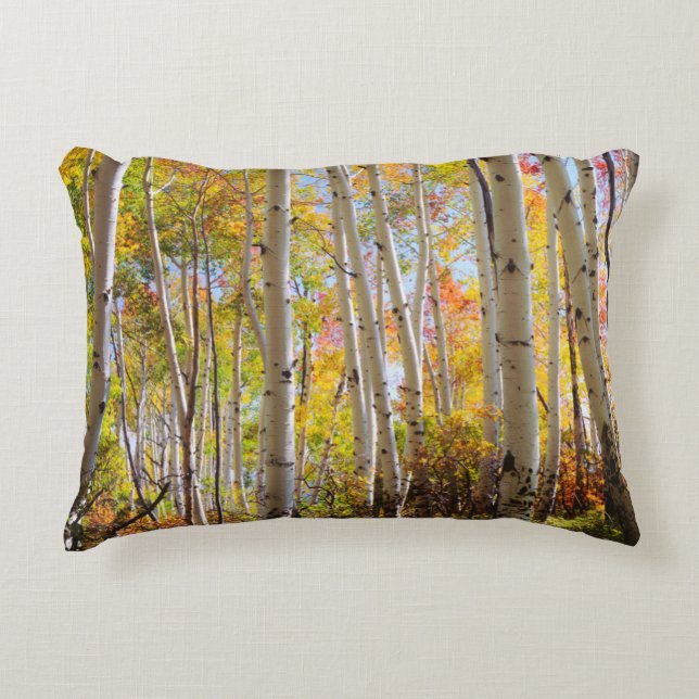 Herfstkleuren van Espenbomen 5 Accent Kussen (Voorkant)
