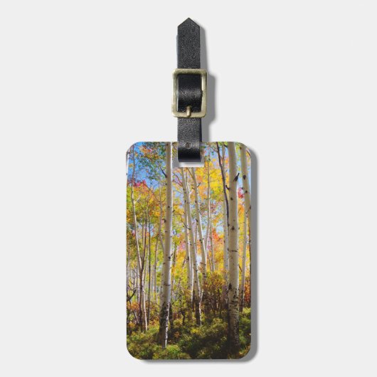 Herfstkleuren van Espenbomen 5 Bagagelabel (Voorkant verticaal)