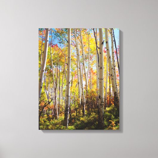 Herfstkleuren van Espenbomen 5 Canvas Afdruk (Voorkant)