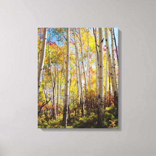 Herfstkleuren van Espenbomen 5 Canvas Afdruk (Voorkant)