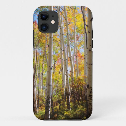 Herfstkleuren van Espenbomen 5 Case-Mate iPhone Case (Achterkant)