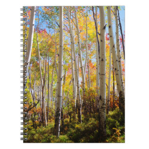 Herfstkleuren van Espenbomen 5 Notitieboek