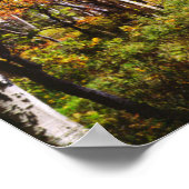 Herfstkleuren van Espenbomen 5 Poster (Hoek)