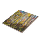 Herfstkleuren van Espenbomen 5 Tegeltje (Zijkant)