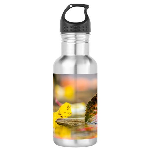 Herfstkleuren Waterfles (Voorkant)