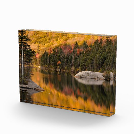 Herfstkleuren weerspiegeld in bevervijver fotoblokken (Rechts)